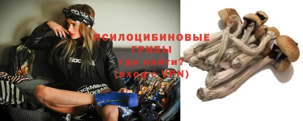 кокс Лабытнанги